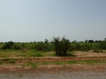 18956P1000800.JPG