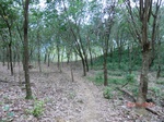 52974CIMG4026_调整大小.JPG