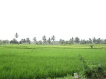 16345IMG_5126.JPG