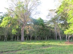 31942IMG_5672.JPG