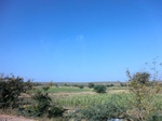 56270CIMG7011.JPG