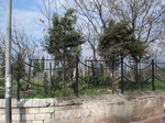 16765DSC05231.JPG