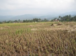 15347IMG_4188.JPG