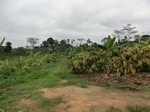 46202CIMG0491.JPG