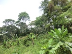 49293CIMG5630.JPG