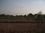 28154IMG_4985.JPG