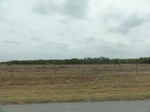 35388DSC02900.JPG