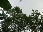 45254CIMG2339.JPG