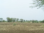 1689502052008(54).JPG