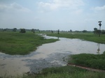 34439IMG_5422.JPG