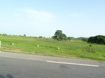 19384P1010231.JPG