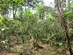46566CIMG0855.JPG
