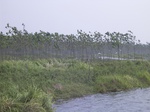 545R0015091.jpg