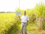 6632gt098-cropland-2.jpg