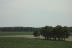2024-08-05_16-09-02_CB905C02-5B05-4918-8BCA-27854CF067CA.jpeg