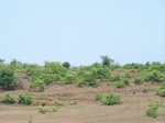 1724820042008(34).JPG