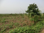 50418CIMG1047.JPG