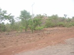 3968RIMG0272.JPG