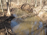 8613IMG_1238.JPG
