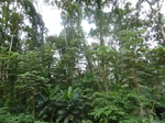 20010P1010860.JPG