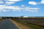 28673P1010690-1.JPG