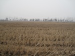 8529IMG_0355.JPG