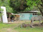 32082IMG_5611.JPG