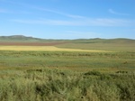 37984CIMG1792.JPG