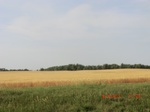 29720CIMG1035.JPG