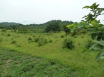 18605P1000442.JPG