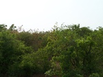 17352100_2038.JPG
