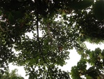 43703DSC02200.JPG