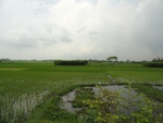 21694DSC00232.JPG
