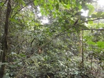50201DSC02000.JPG