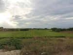 56060CIMG6749.JPG