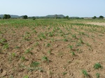 18925P1000769.JPG