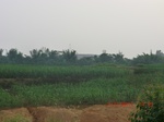 32904CIMG2043.JPG