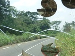 49316CIMG5653.JPG