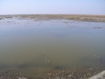 4549RIMG0005-3.JPG