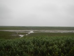 54505DSCN1787.JPG