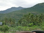 43368CIMG6426.JPG