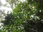 43697DSC02194.JPG