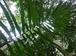 46271CIMG0560.JPG