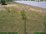 1604R0015251_tag.jpg
