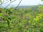 1725820042008(43).JPG