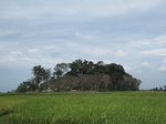 14588IMG_4955.JPG