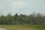 2024-10-10_17-07-56_AE2AA840-0AC6-43DD-AB4B-552D05602CA6.jpeg