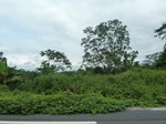 25941P1020360.JPG