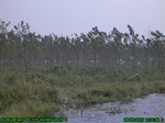 1314R0015106_tag.jpg