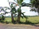 31222CIMG1084.JPG